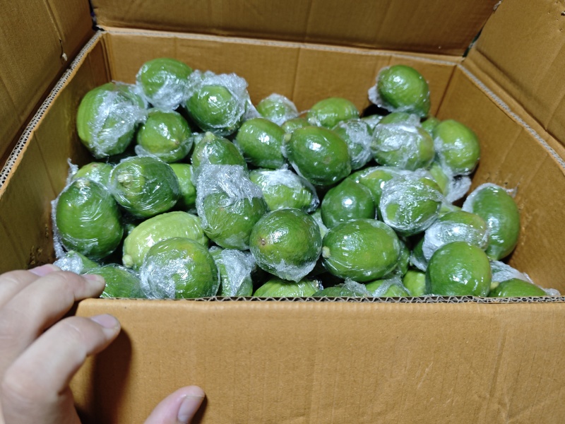 正宗广东香水柠檬一级果每天大量新鲜供应
