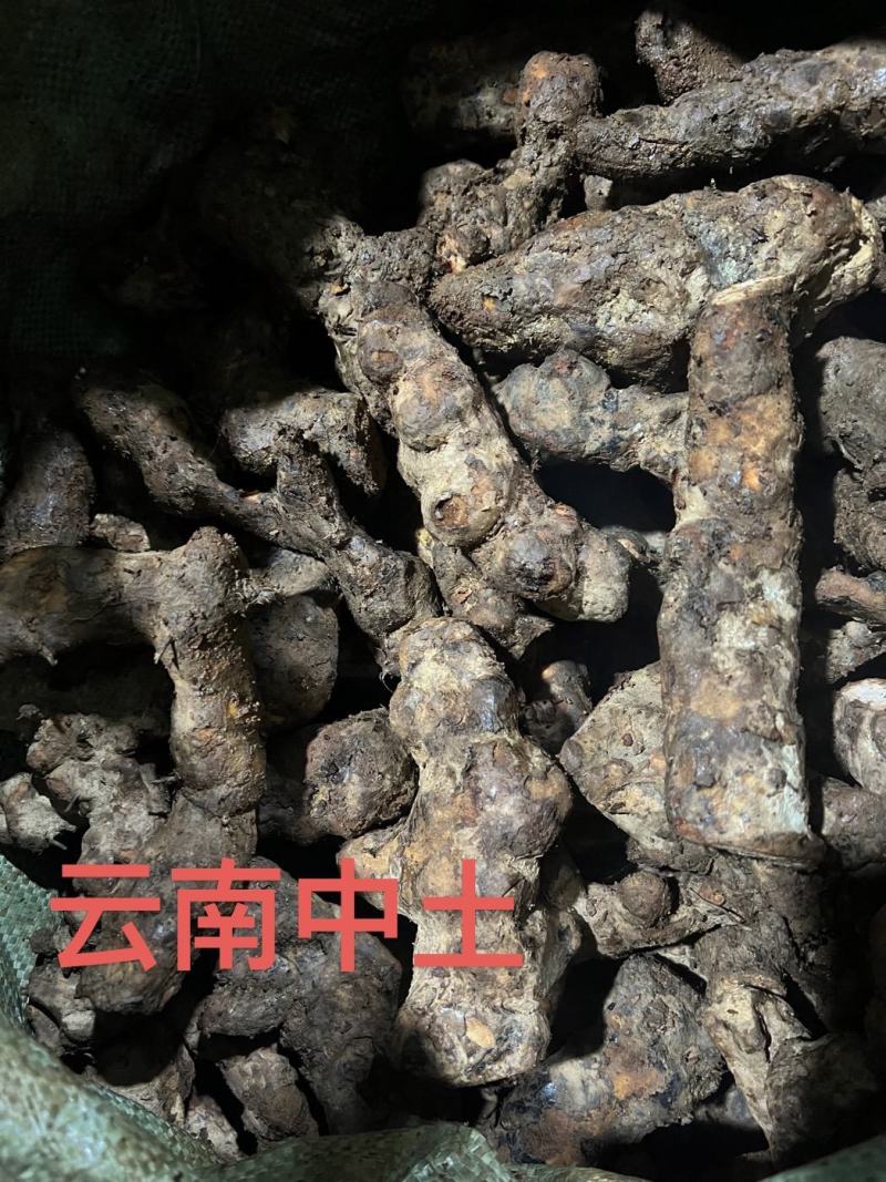 【品质】云南土茯苓量大优惠对接全国批发欢迎来电咨询