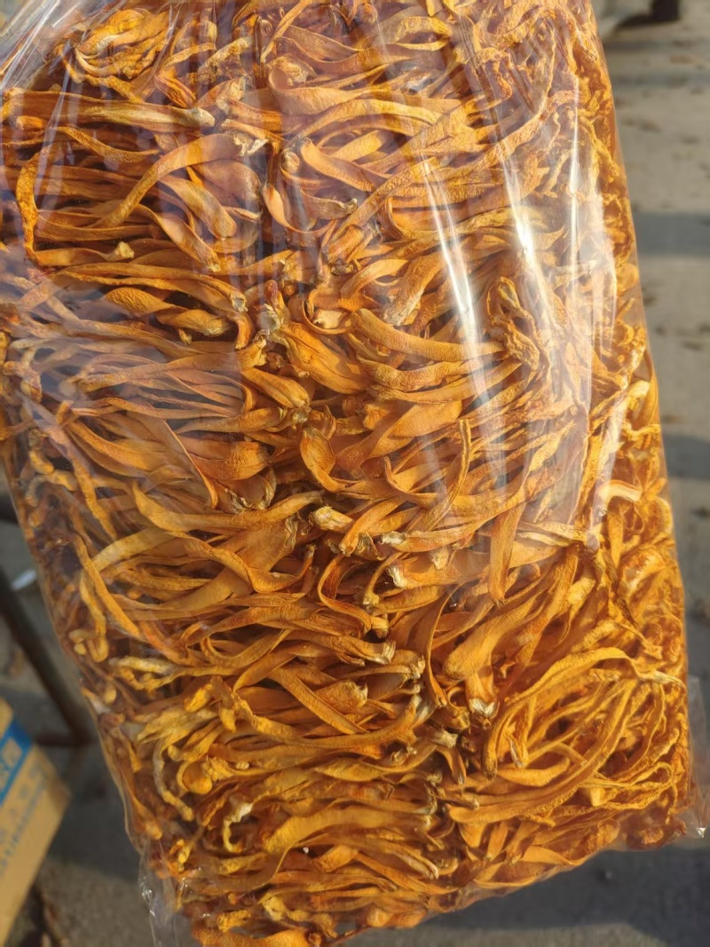 虫草花批发干货北虫草土特产蛹虫草产地直销