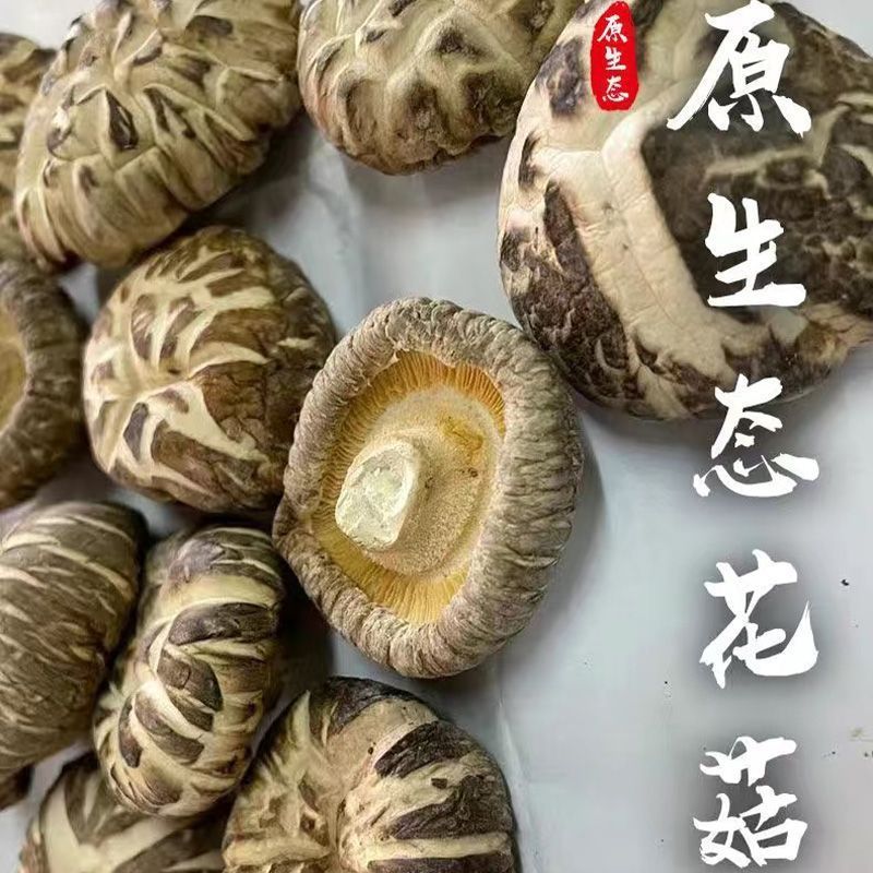 花菇椴木茶花菇新货批发肉厚冬菇净重干货香菇煲汤蘑菇土