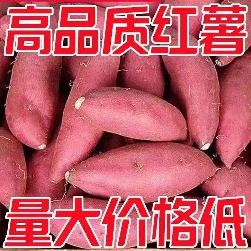 烟薯，红薯对接社区团购按需包装，电商一件代发