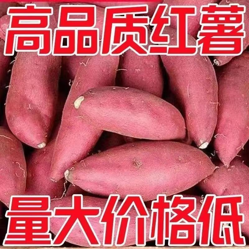 烟薯，红薯对接社区团购按需包装，电商一件代发
