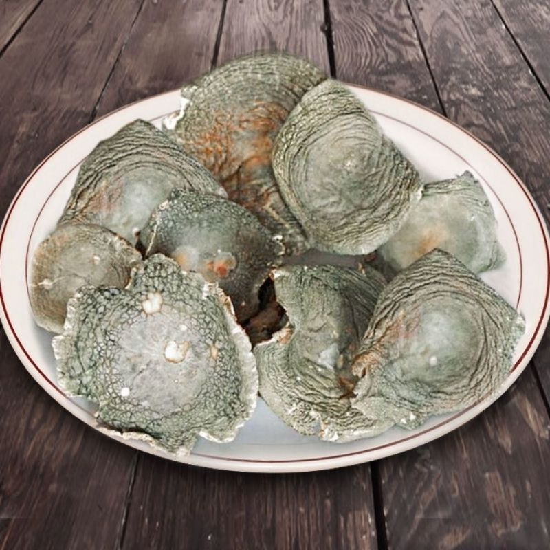 青头菌干货木蘑菇梨菇云南野生菌新鲜青头产地直销松树菌包邮新货