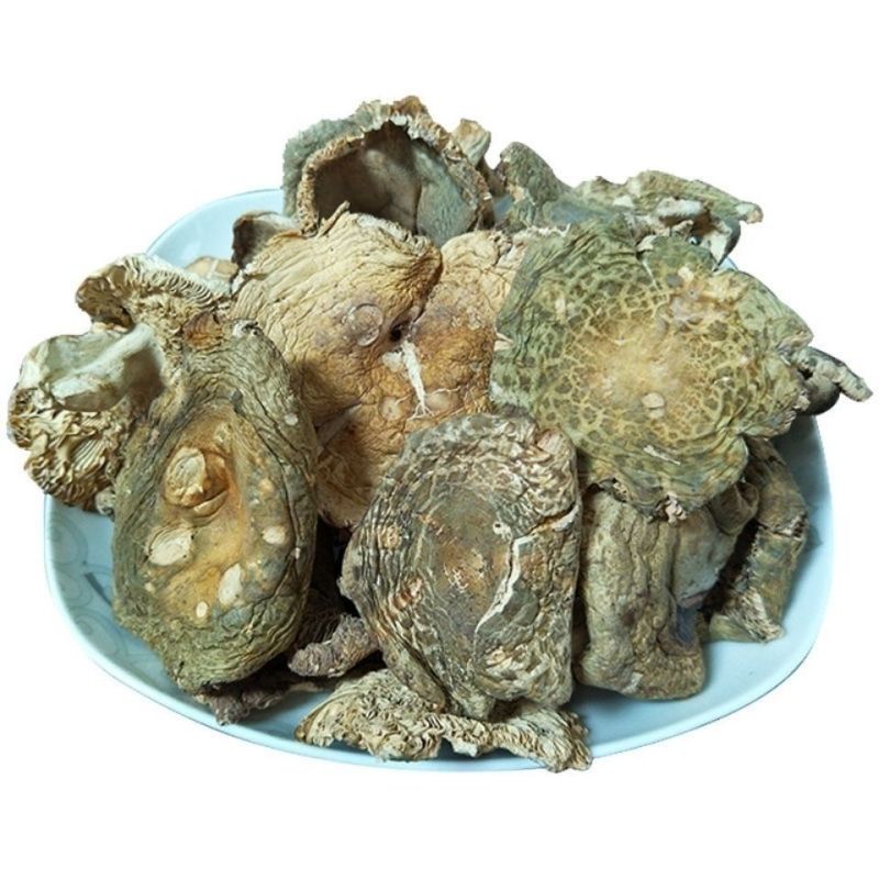 青头菌干货木蘑菇梨菇云南野生菌新鲜青头产地直销松树菌包邮新货
