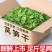 【新货】精品莴笋干农家日晒莴笋片干莴笋脱水蔬菜非贡菜干货虫草