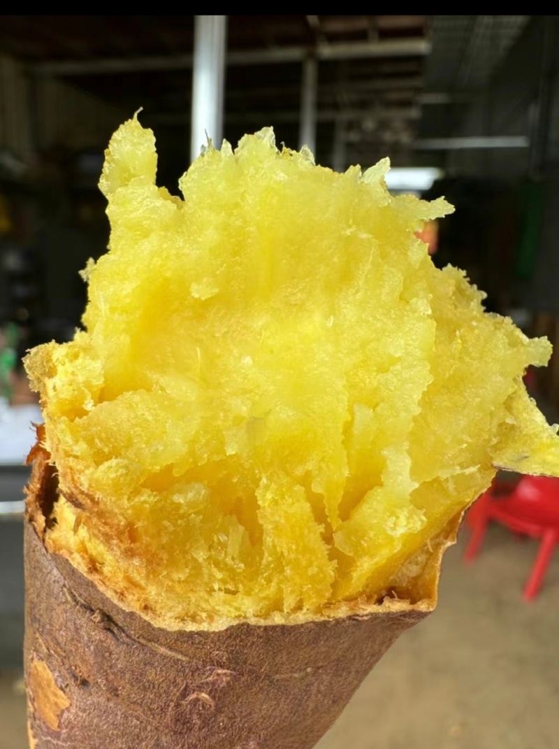 推荐山东红薯榴莲蜜薯软糯香甜产地直供量大从优联系