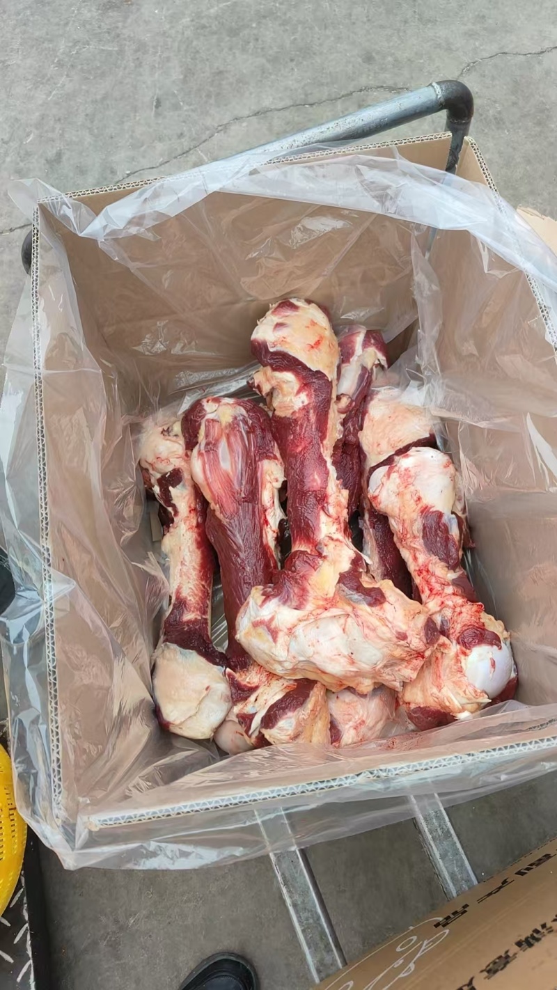 【牛肉棒骨】当地草原黄牛的屠宰场直销，超码的，免费加工！