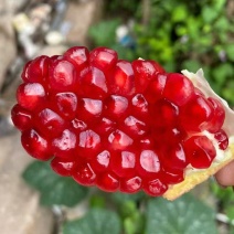 云南突尼斯软籽石榴云南石榴产地直发甜美多汁量大优惠