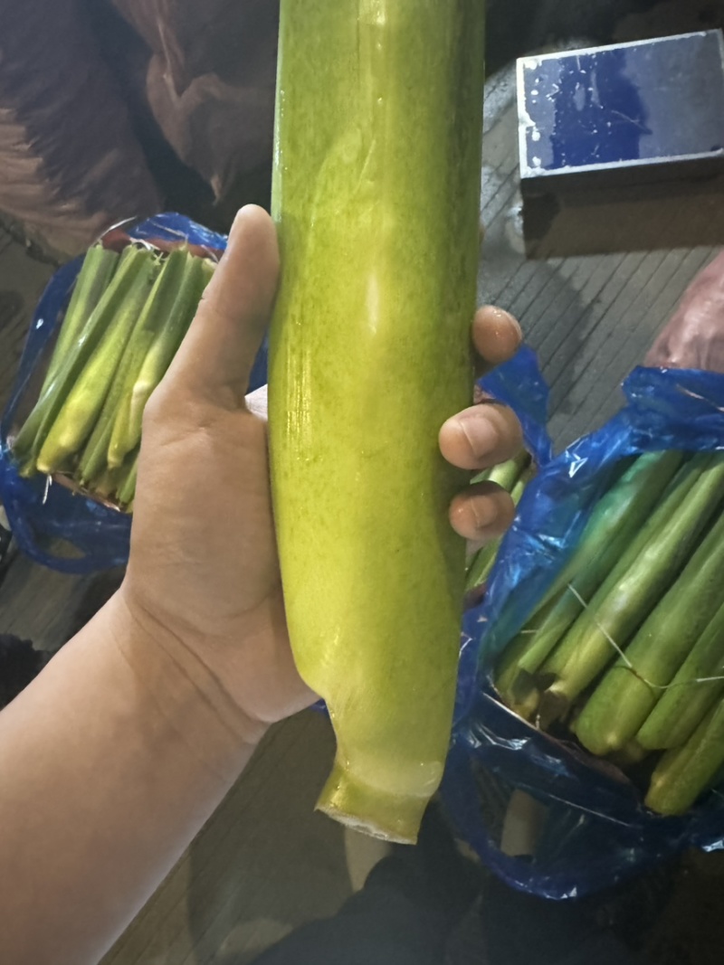浙江精品美人茭产地直发