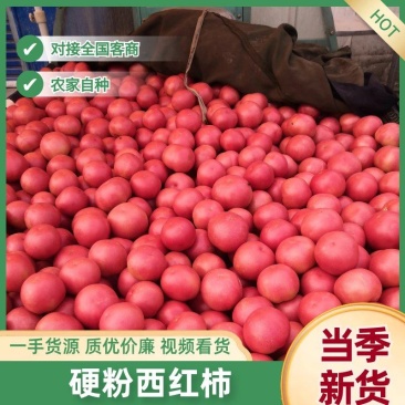 河南西红柿，弧三起步，产地直发，货源充足，欢迎来电订购！