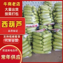 河南西葫芦基地直采瓜条油亮保质保量欢迎来电