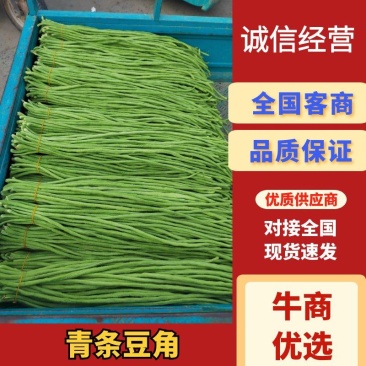 精品长豆角产地直销商超电商加工厂发货全国