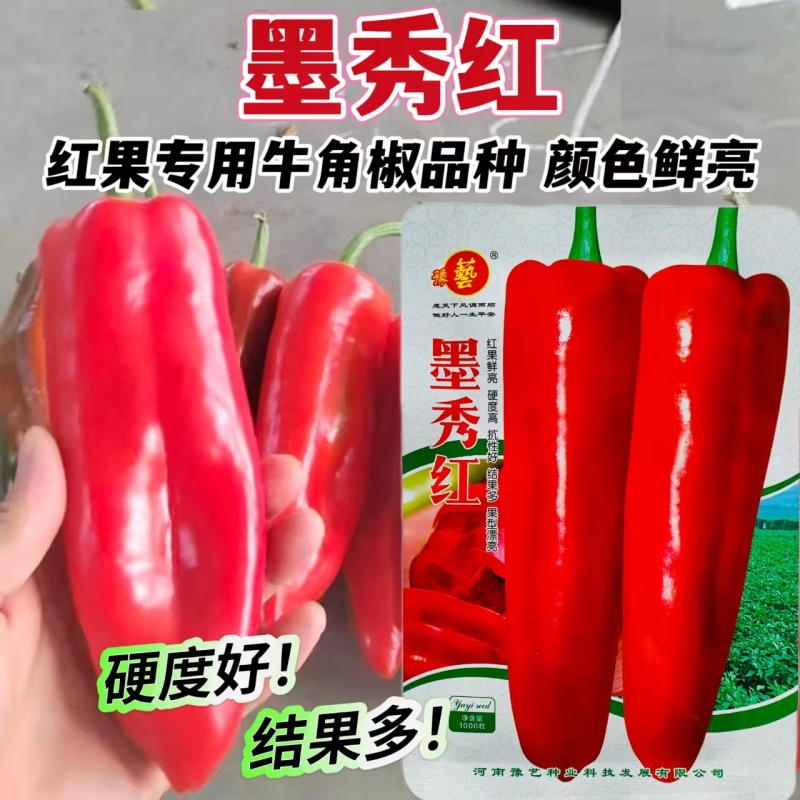 豫艺墨秀红牛角椒种子中早熟果型顺直耐贮运抗病强产量高辣椒