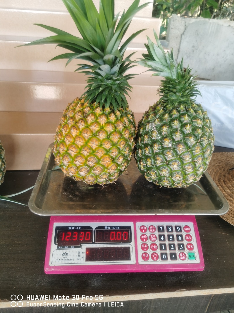 西瓜凤梨