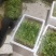 香菜，精品香葱，泡沫箱香菜