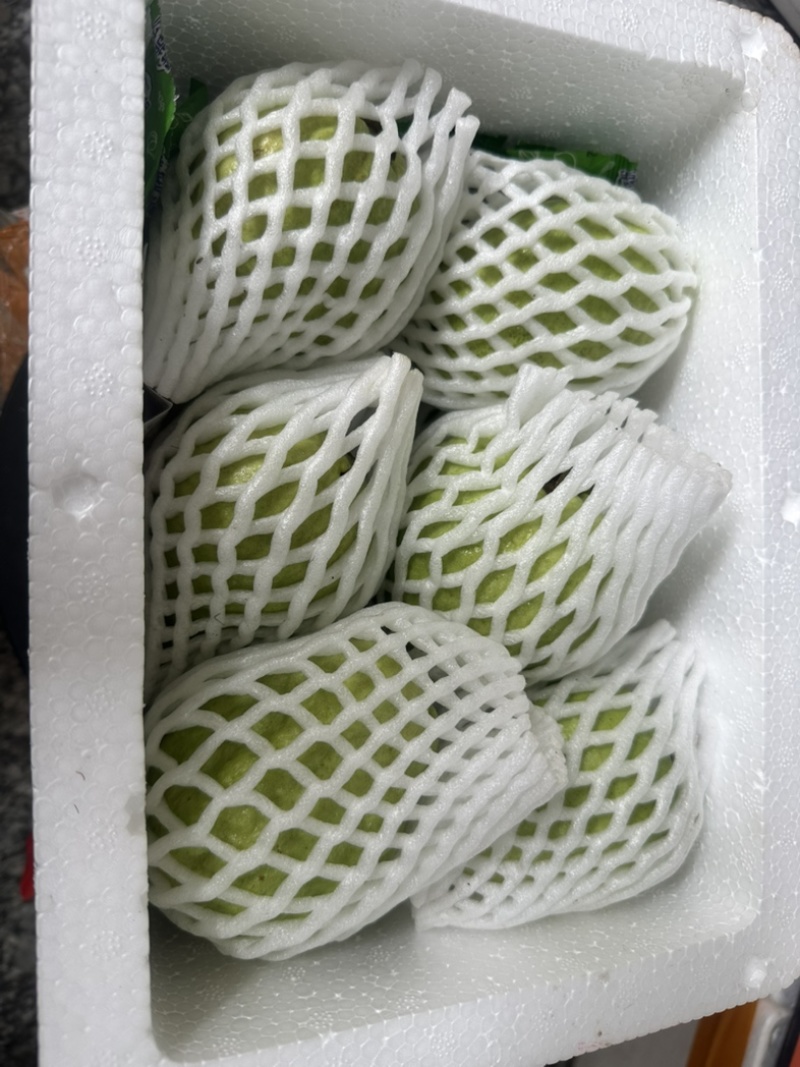 芭乐番石榴一件代发