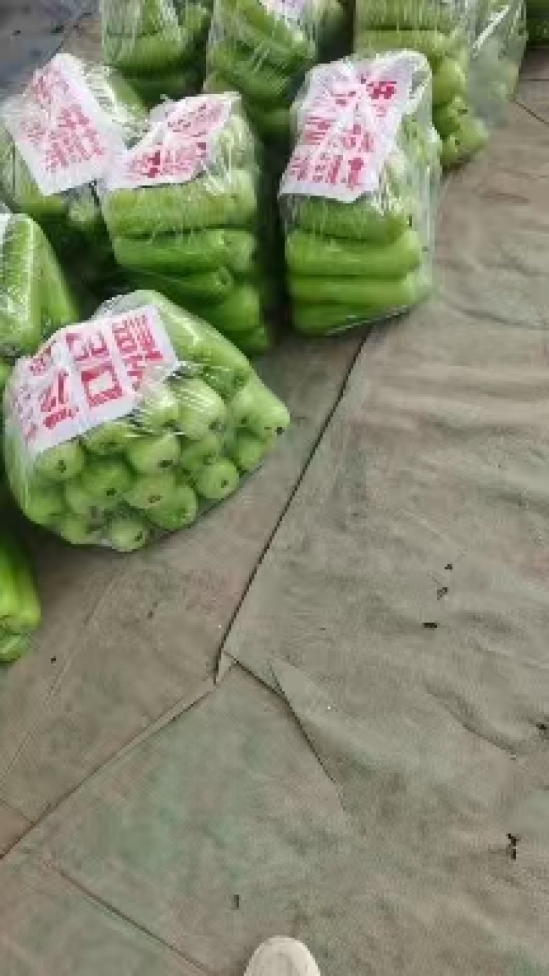 河南瓠瓜，规模种植，价格低，视频看货，线上保障交易