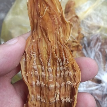 中越边境山区竹笋干火烧！