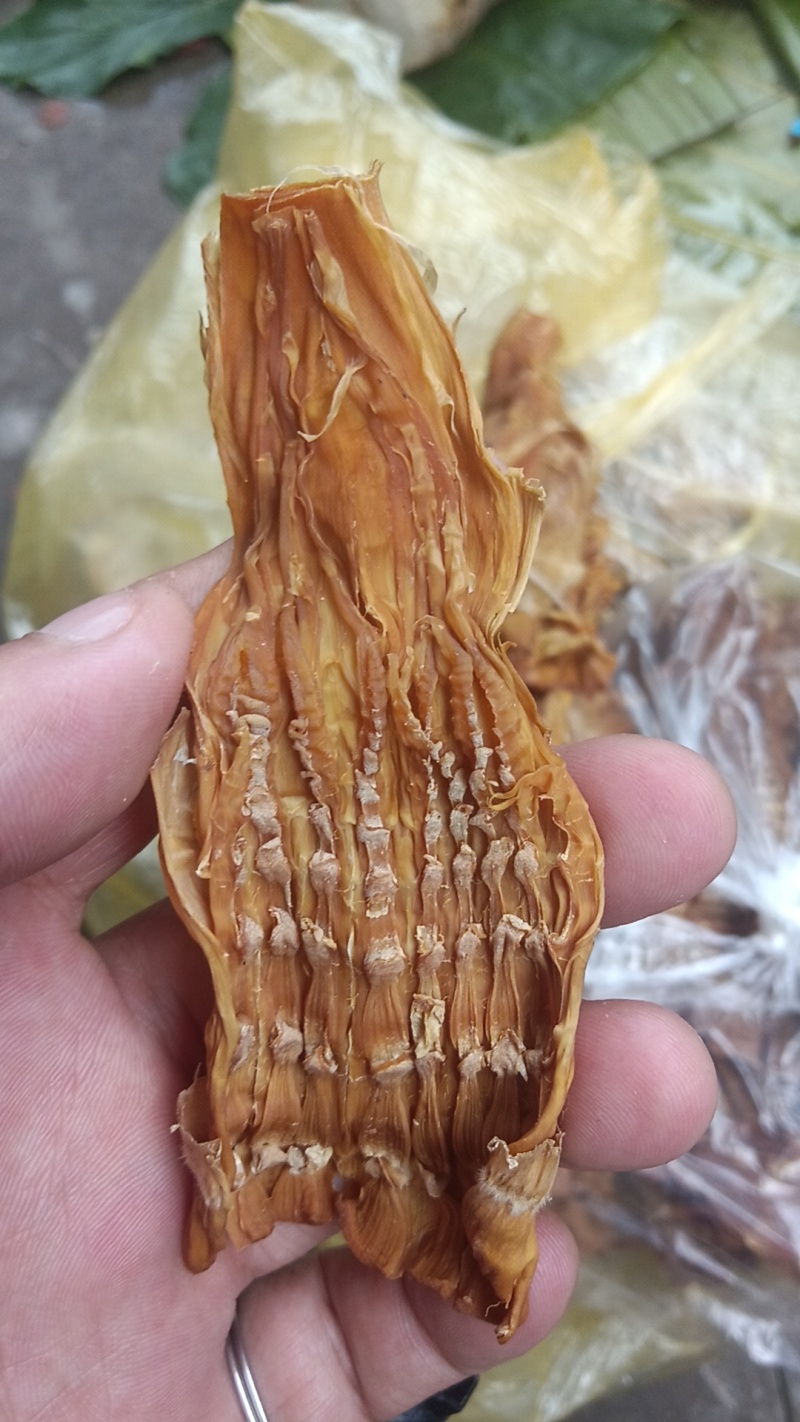 中越边境山区竹笋干火烧！