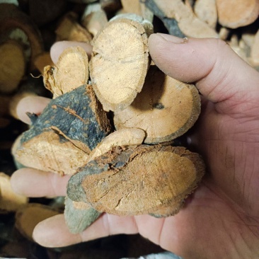 包邮广香藤，根，干货