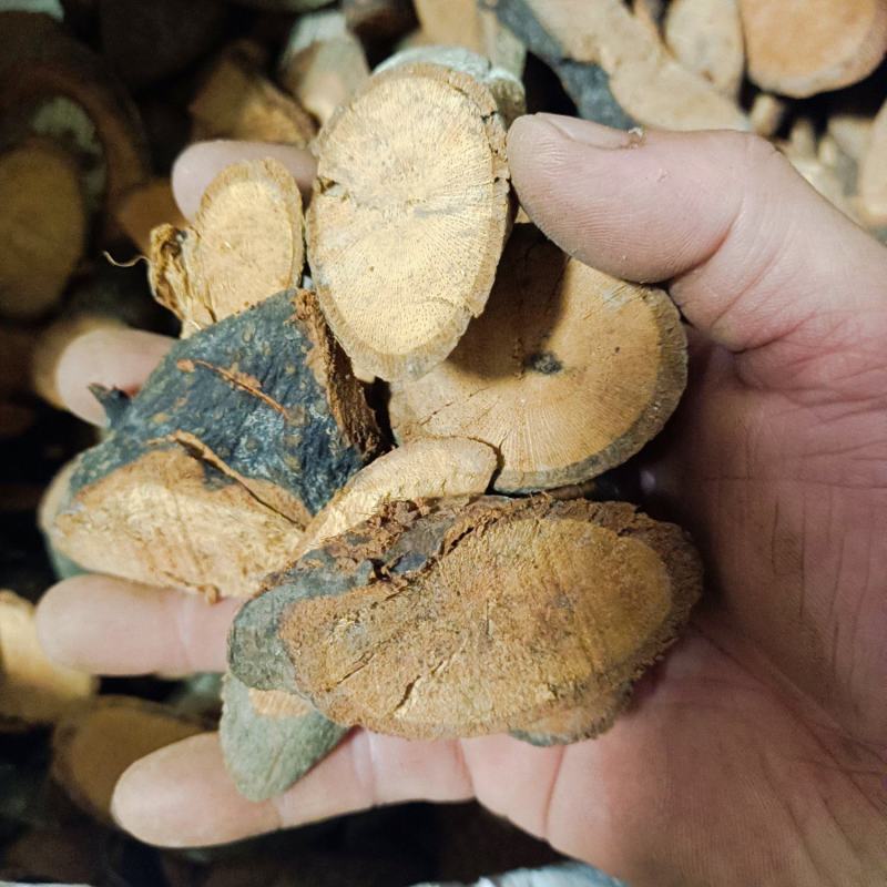 包邮广香藤，根，干货