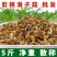 东北大兴安岭新货滑子菇5斤净重剪根干货小黄蘑滑山货小鸡炖蘑菇