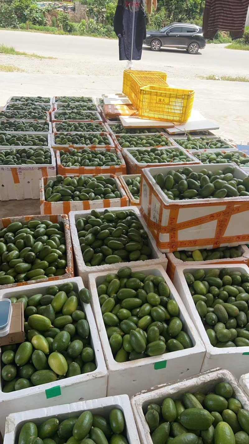 精品子弹头香水柠檬