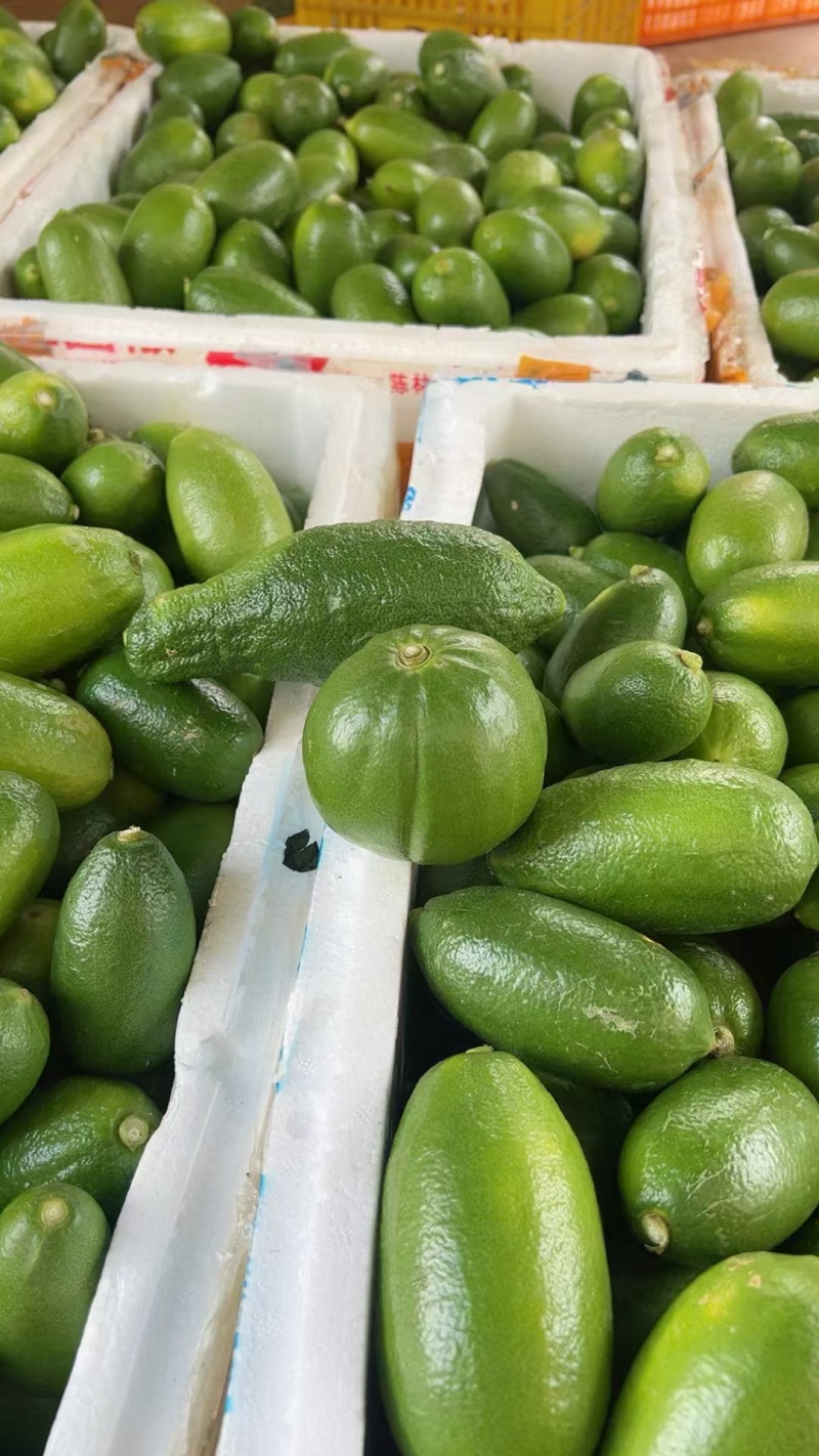 精品子弹头香水柠檬