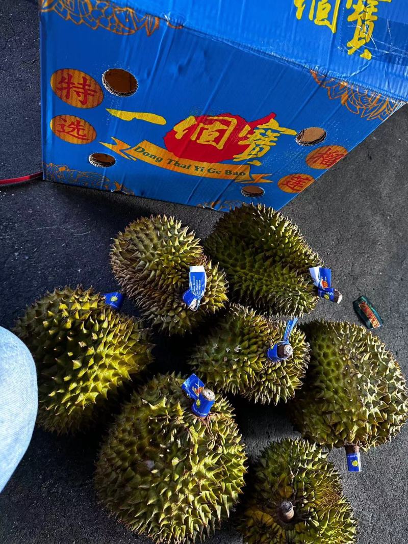 《东泰一个宝》泰国榴莲保质保量对接全国货源充足品质保证