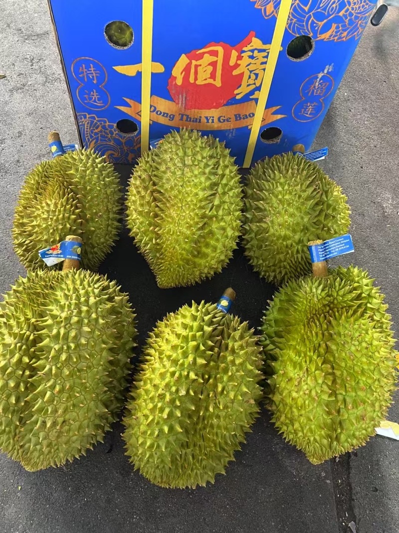 《东泰一个宝》泰国榴莲保质保量对接全国货源充足品质保证
