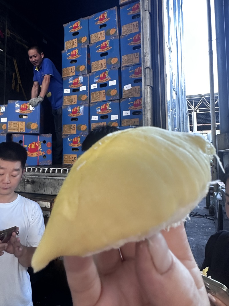 《东泰一个宝》泰国榴莲保质保量对接全国货源充足品质保证
