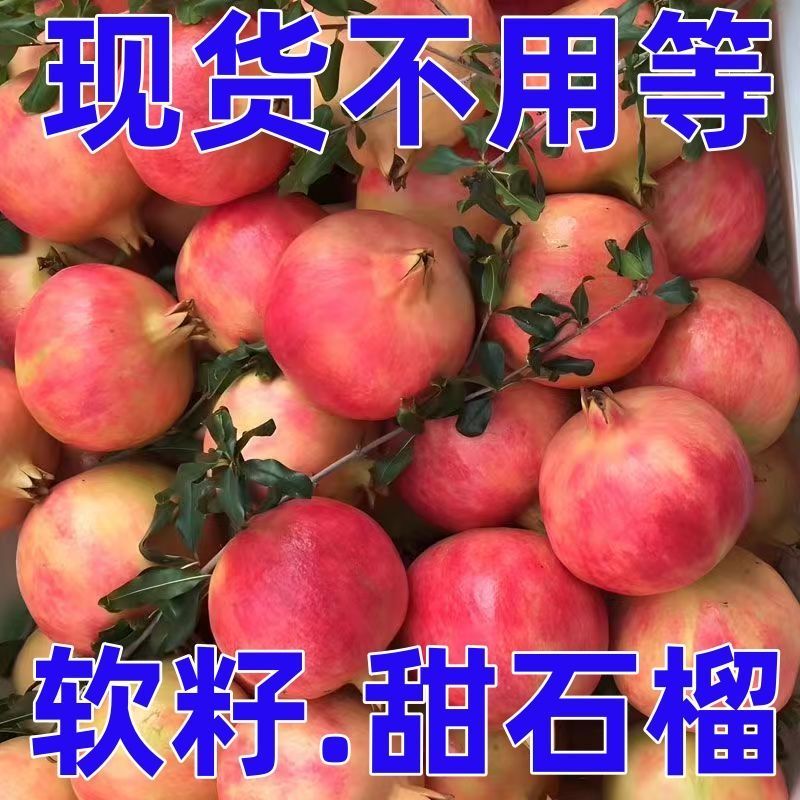软籽石榴一件代发