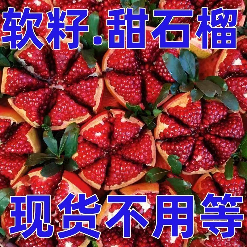 软籽石榴一件代发