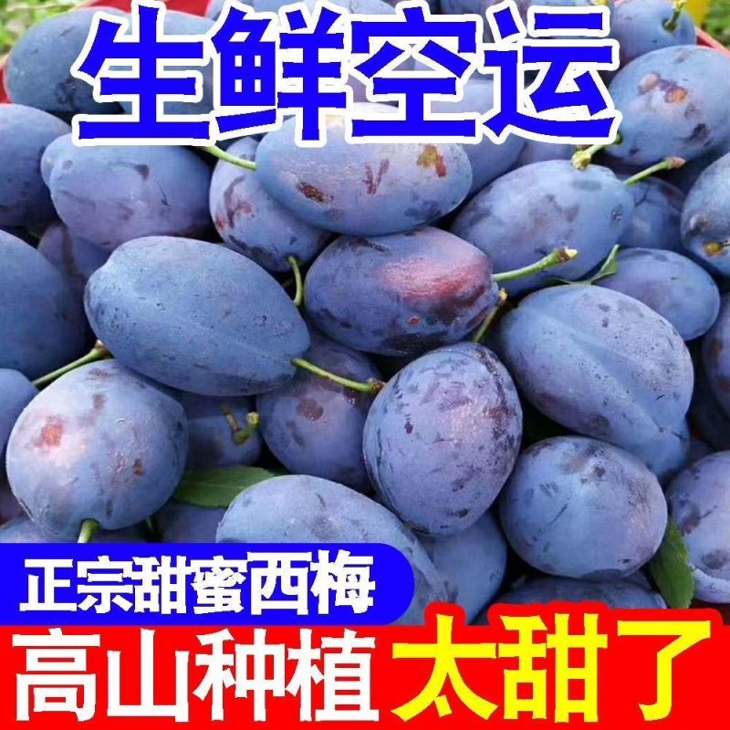 四川高山蜂糖大西梅新鲜正宗新疆蓝蜜脱骨黄肉西梅李子整箱包邮
