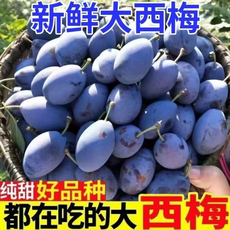 四川高山蜂糖大西梅新鲜正宗新疆蓝蜜脱骨黄肉西梅李子整箱包邮