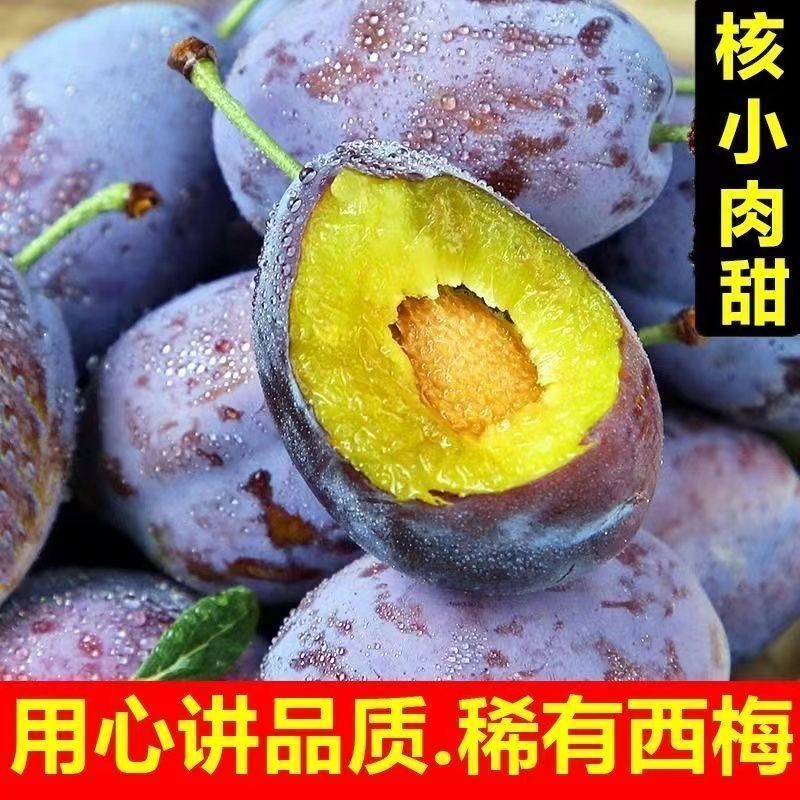 四川高山蜂糖大西梅新鲜正宗新疆蓝蜜脱骨黄肉西梅李子整箱包邮
