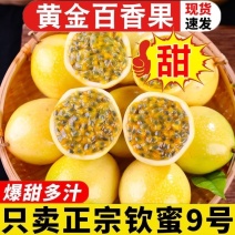 钦蜜9号黄金百香果