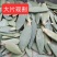 结果仙人掌基地直发价格便宜