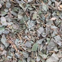 金钱草【包邮】三斤起发货可批量可零售量大从优