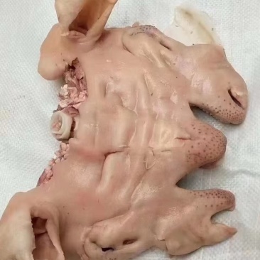 羊脸肉