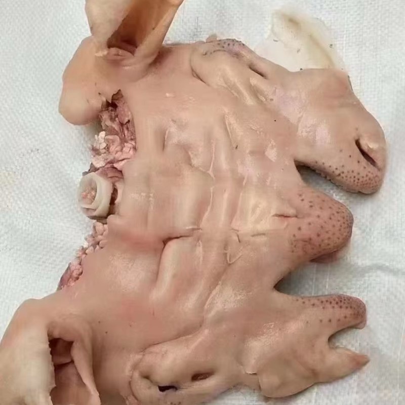 羊脸肉