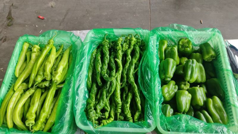 精品尖椒走市场电商食堂大量有货