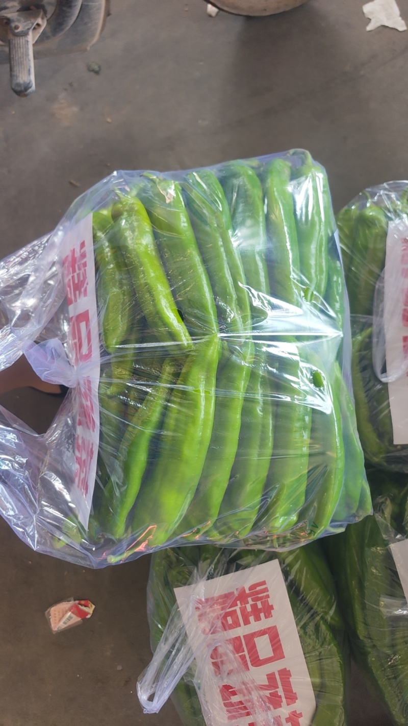精品尖椒走市场电商食堂大量有货