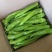 精品尖椒走市场电商食堂大量有货