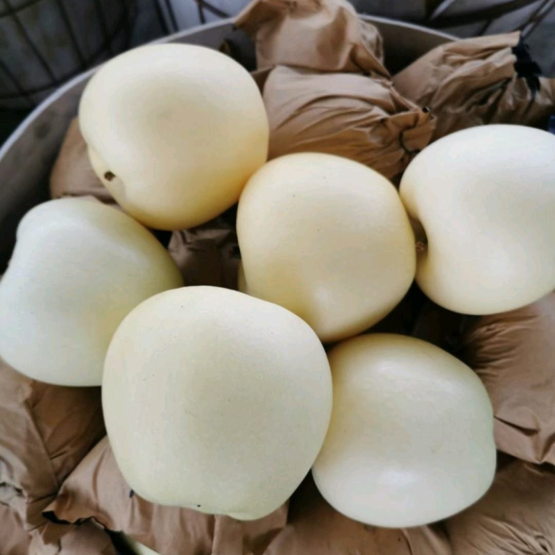 《黄金帅苹果》辽宁绥中产地直供/规格齐全货源充足量大