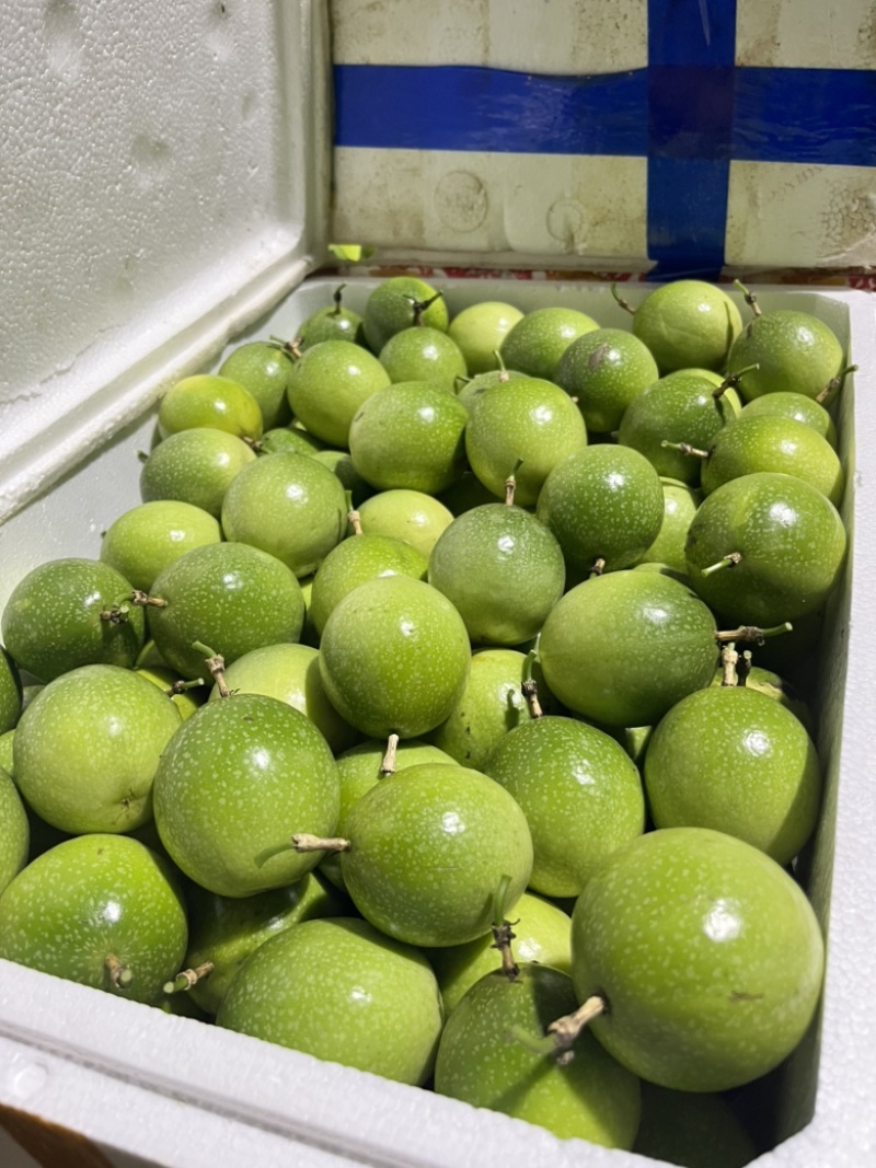 云南高山钦蜜9号黄金百香果