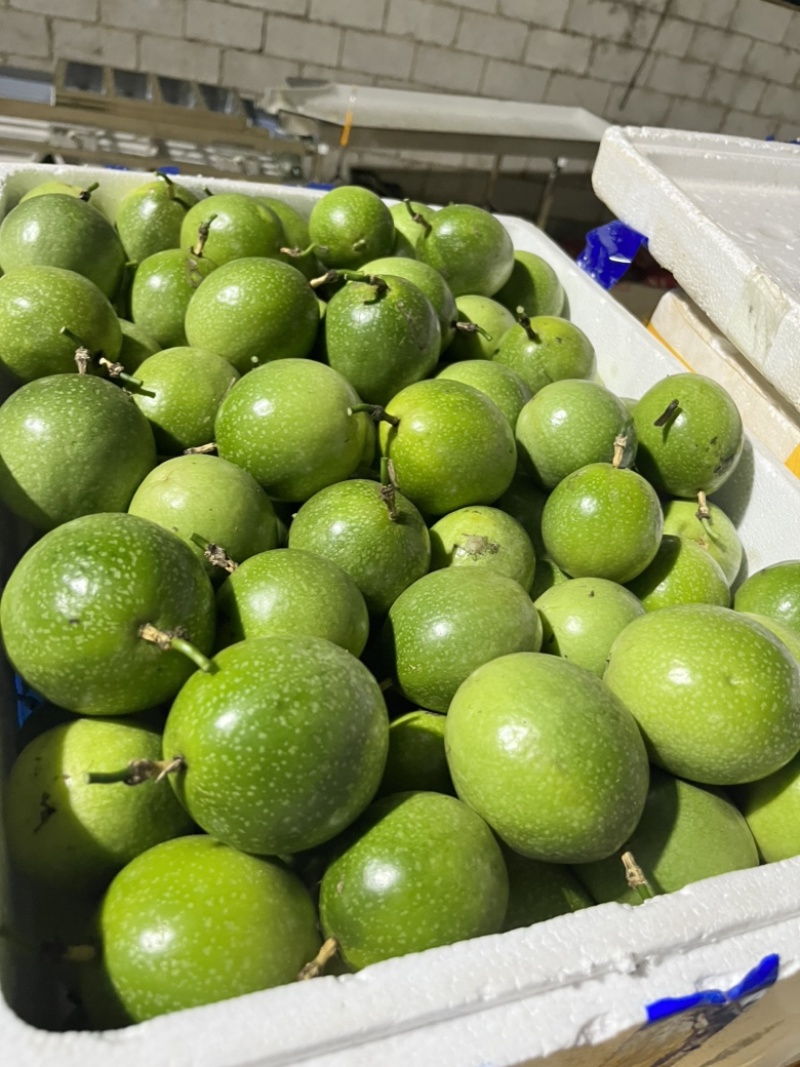 云南高山钦蜜9号黄金百香果