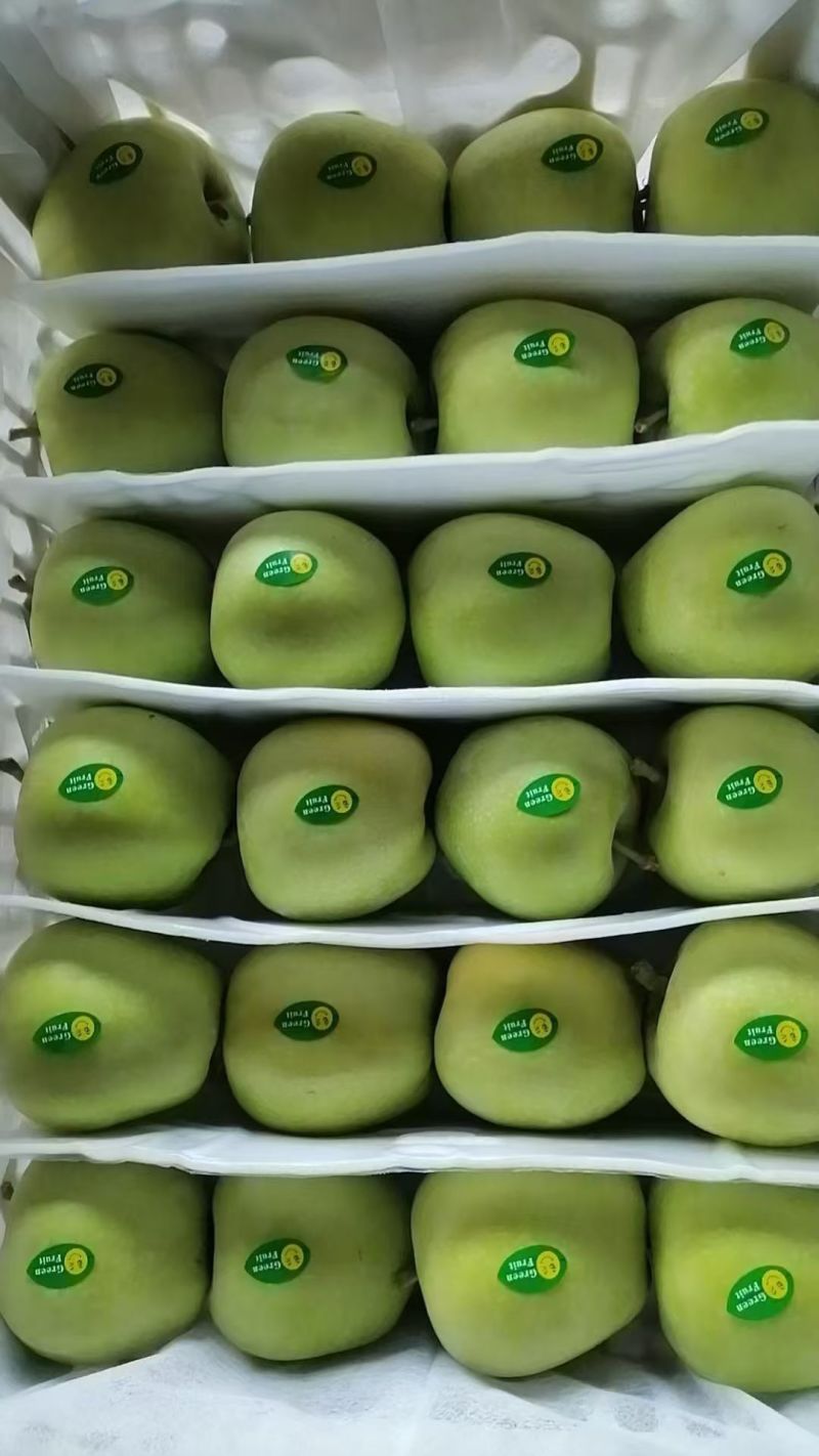 陕西礼泉县青嘎啦，光果红嘎啦大量上市，欢迎各大电商，客商