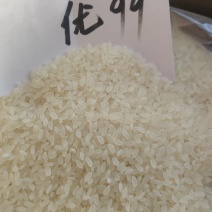 曹妃甸大米香糯可口