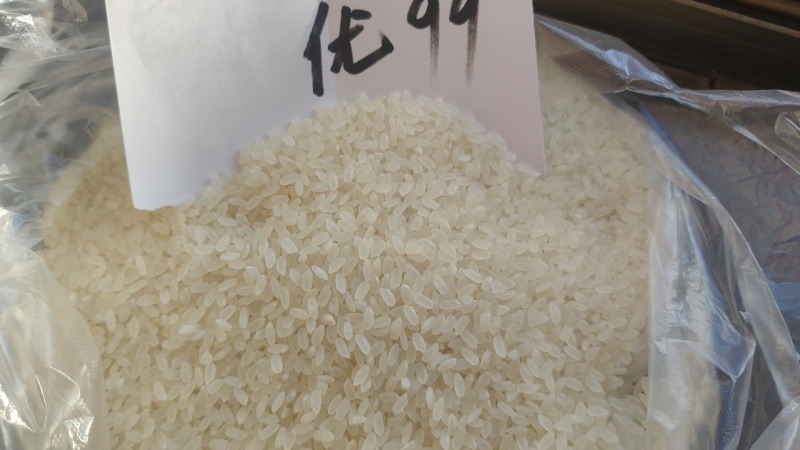 曹妃甸大米香糯可口